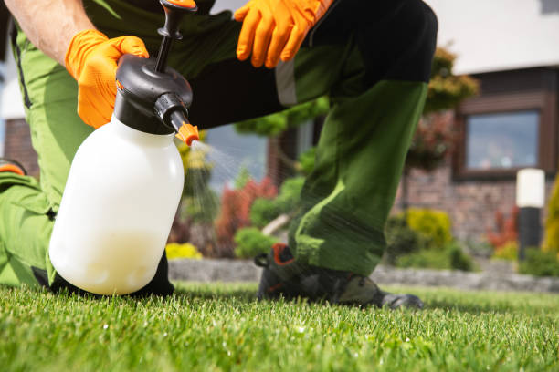 Best Termite Control Services  in Lithopolis, OH