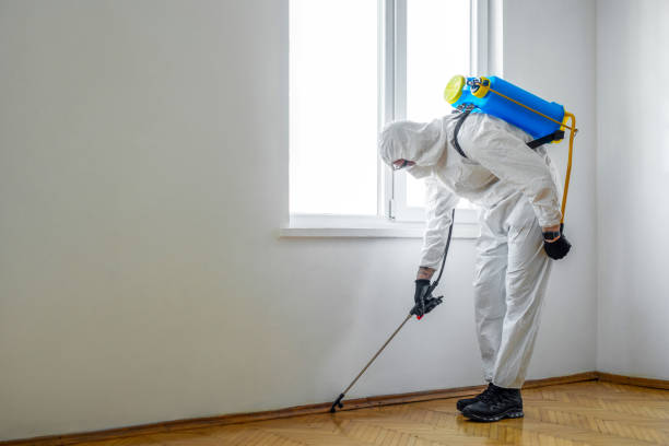 Best Local Pest Control Services  in Lithopolis, OH