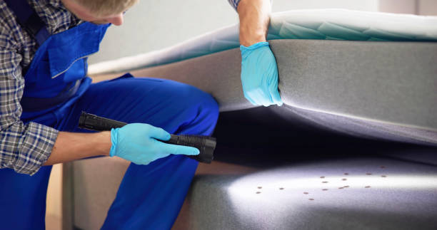 Best Ant Control Services  in Lithopolis, OH