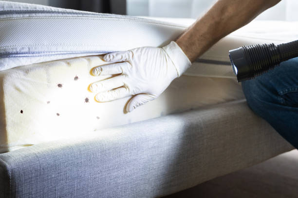 Best Affordable Pest Control Services  in Lithopolis, OH