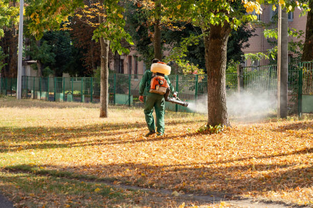 Best Pest Inspection Near Me  in Lithopolis, OH