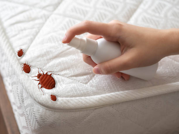 Best Insect Control  in Lithopolis, OH