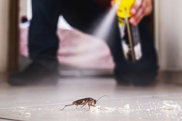 Best Best Pest Control Companies  in Lithopolis, OH