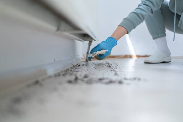 Best Pest Removal Services  in Lithopolis, OH